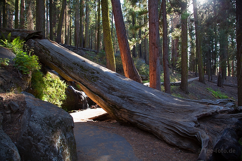 Unterwegs auf dem Congress Trail